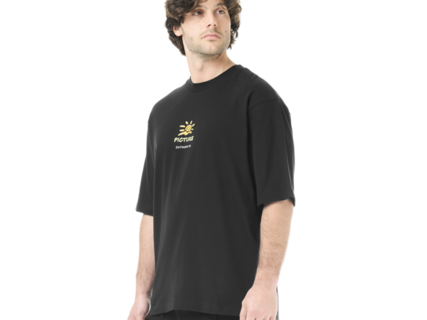Picture T-shirt - T-shirt homme CABINCREW - Homme
