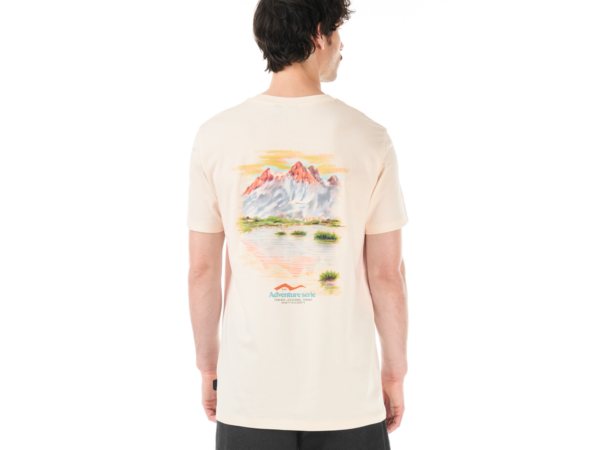 Picture T-shirt - T-shirt homme D&S LES ECRINS - Mixte