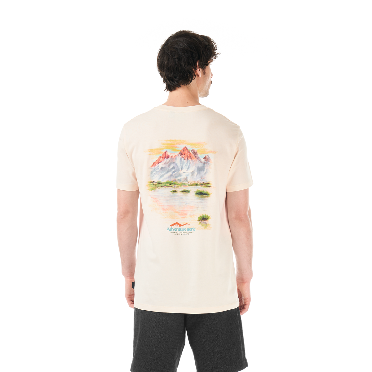 Picture T-shirt - T-shirt homme D&S LES ECRINS - Mixte