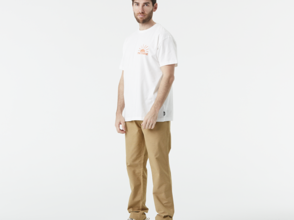 Picture T-shirt - T-shirt homme ENDAKO - Homme