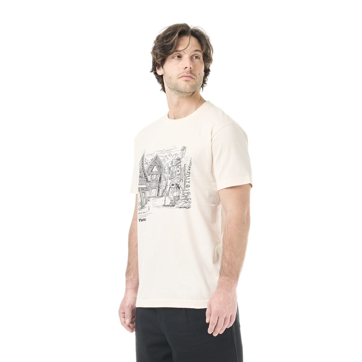 Picture T-shirt - T-shirt homme GRANBO - Homme