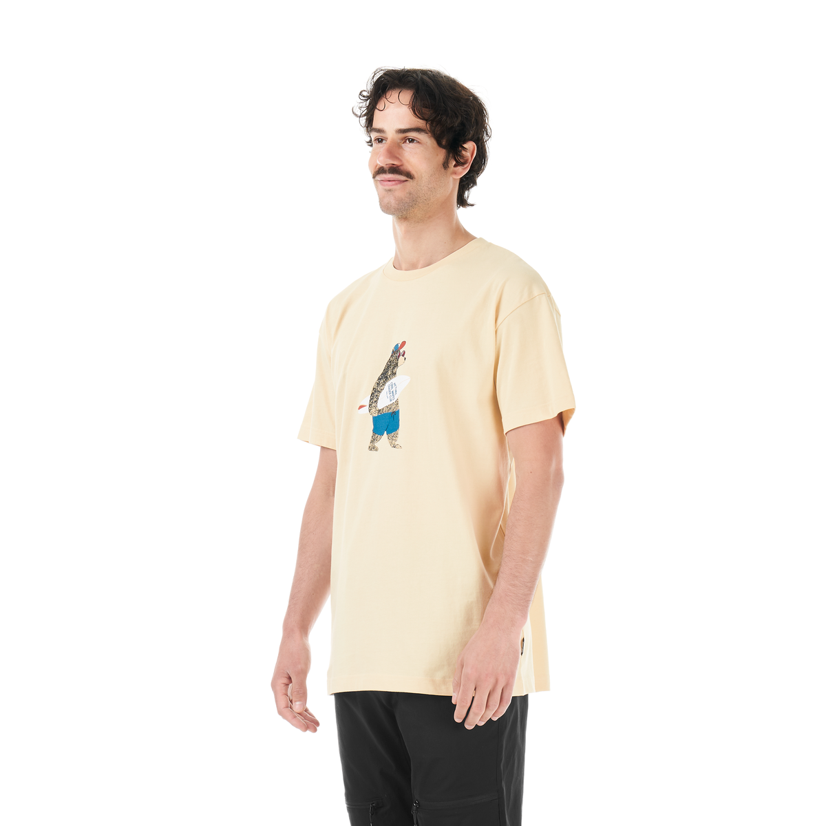 Picture T-shirt - T-shirt homme POWEE - Homme