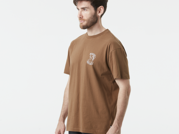 Picture T-shirt - T-shirt homme TERRA - Homme