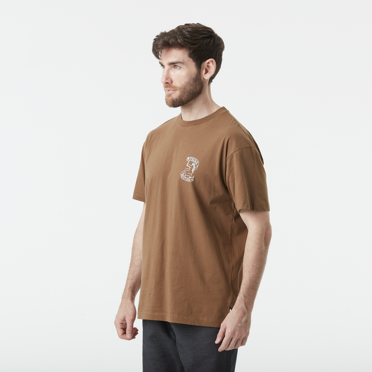 Picture T-shirt - T-shirt homme TERRA - Homme