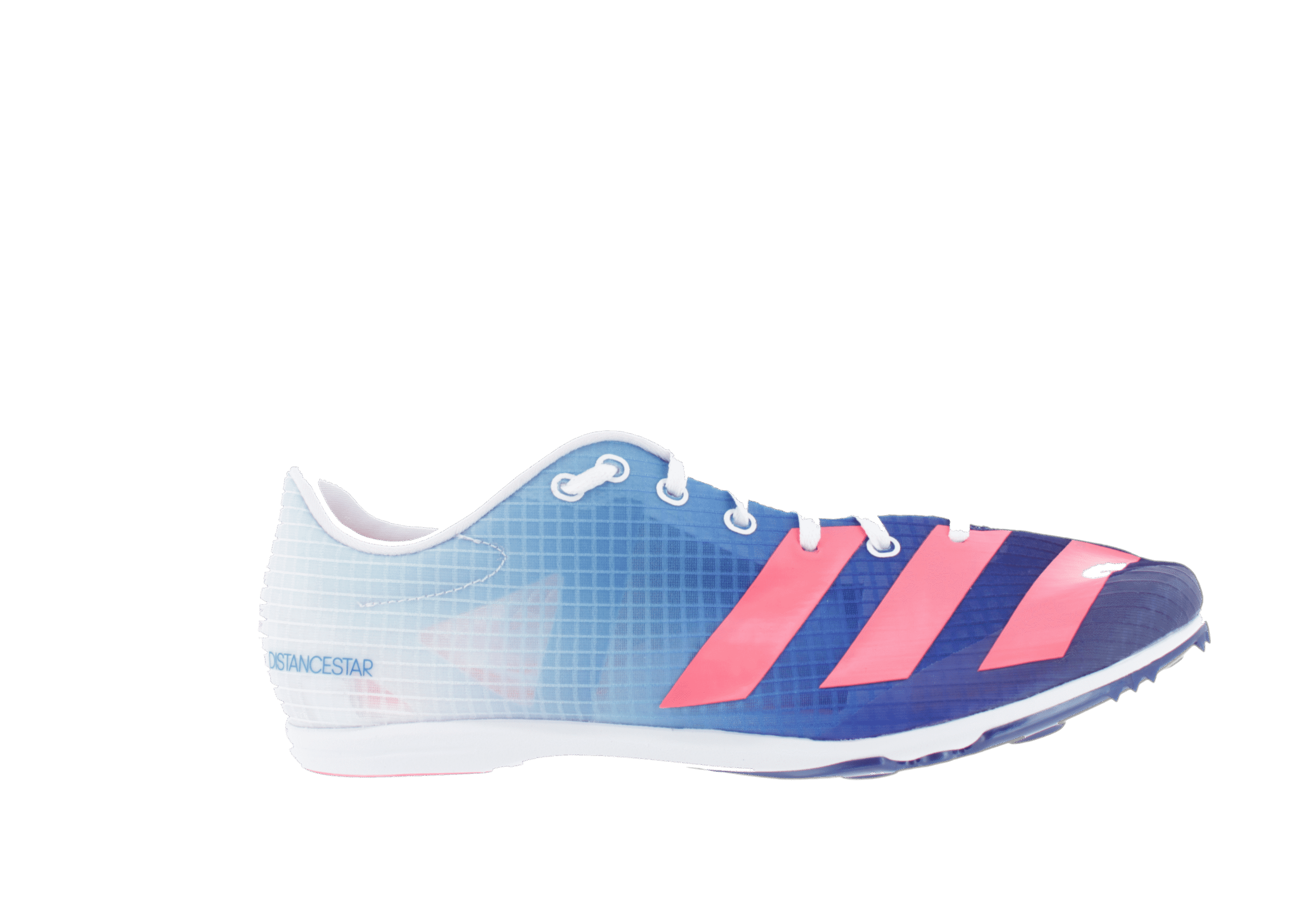 Pointes d'athlétisme adidas Distancestar - Homme