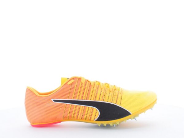 Pointes d'athlétisme PUMA Evospeed Future 6 - Unisex