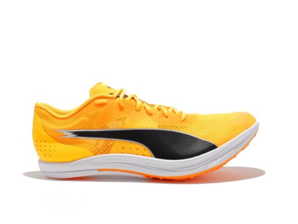 Pointes d'athlétisme PUMA Evospeed Long Distance - Unisex
