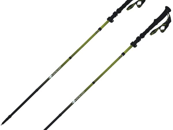 RAIDLIGHT HYBRID CARBON