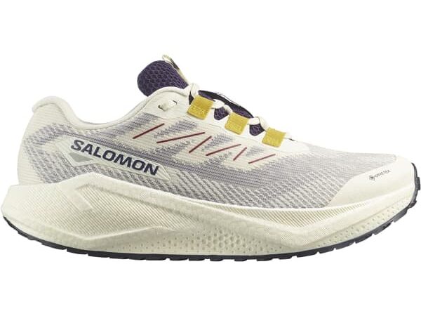 SALOMON AERO BLAZE 3 GRVL GORE-TEX