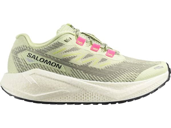 SALOMON AERO BLAZE 3 GRVL W
