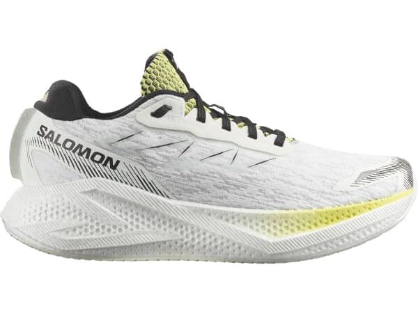 SALOMON AERO GLIDE 4