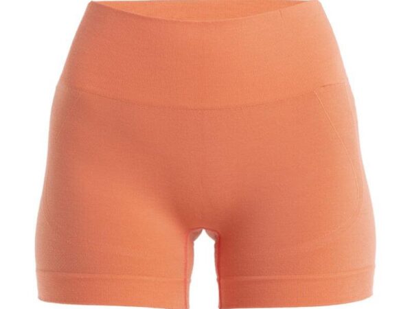 Short Mélange Mérinos 260 Zoneknit Seamless 4 - Femme