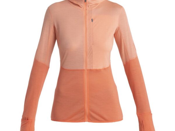 Sweat Merino 200 Realfleece Descender - Femme