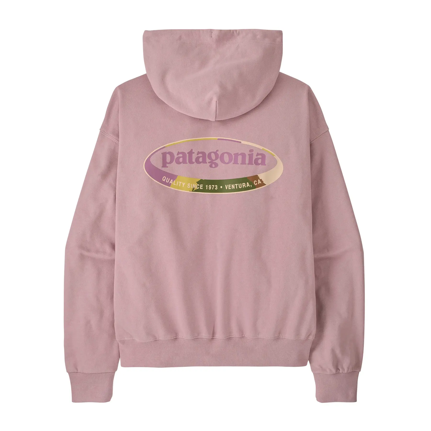 Sweatshirt à capuche femme Patagonia 95 Oval Logo Daily