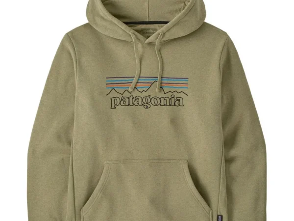 Sweatshirt à capuche Patagonia P-6