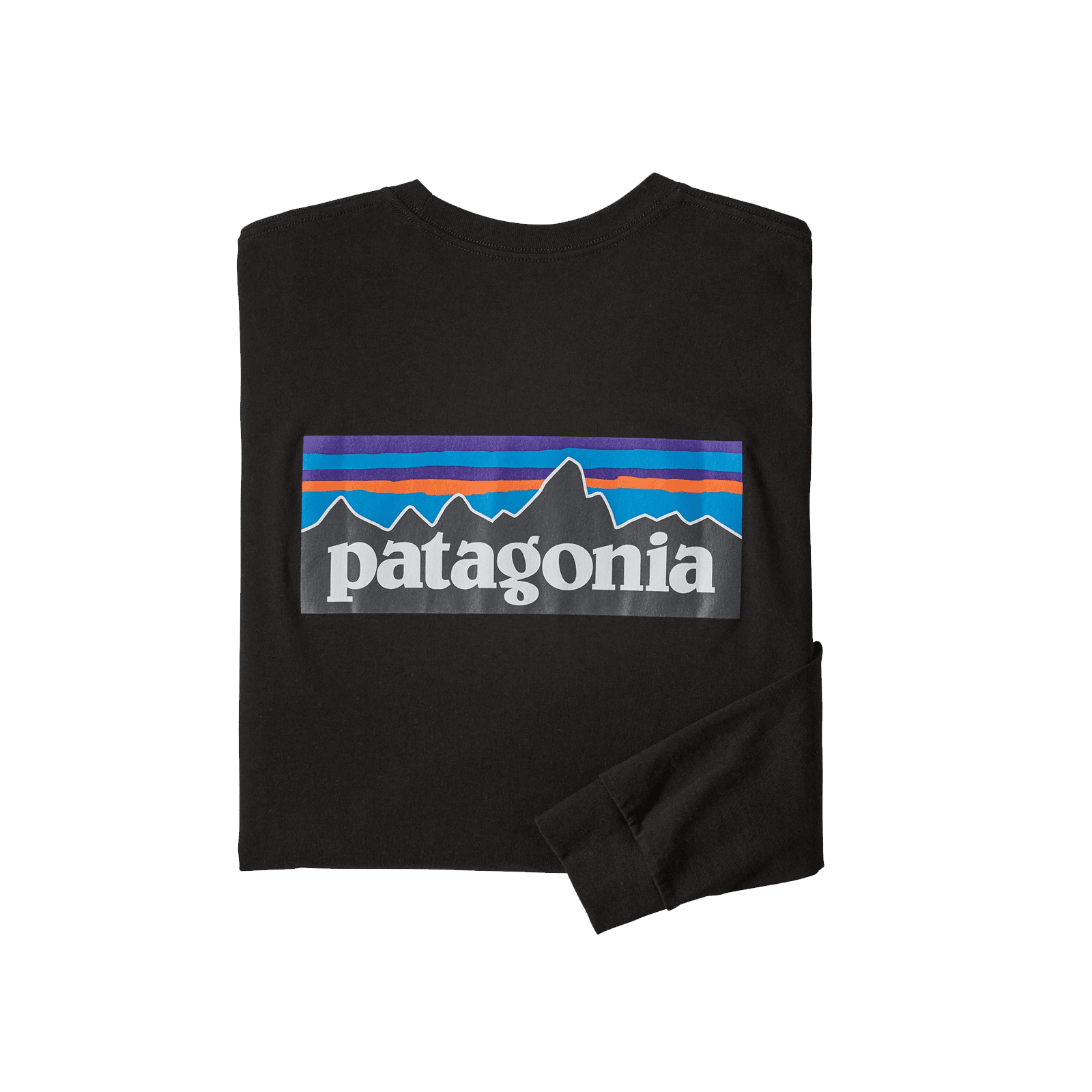 T-shirt Manches Longues P-6 Logo Responsibili-tee - Homme