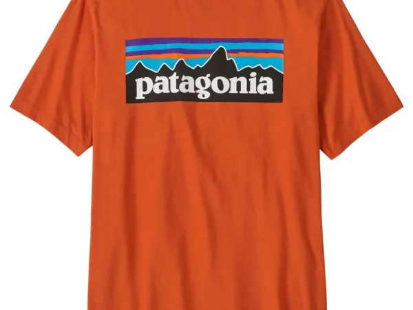 T-shirt Patagonia P-6