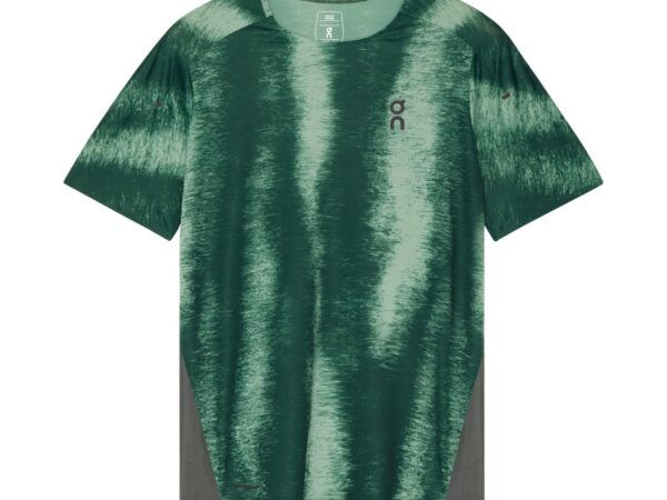 T-shirt Performance Terra - Homme