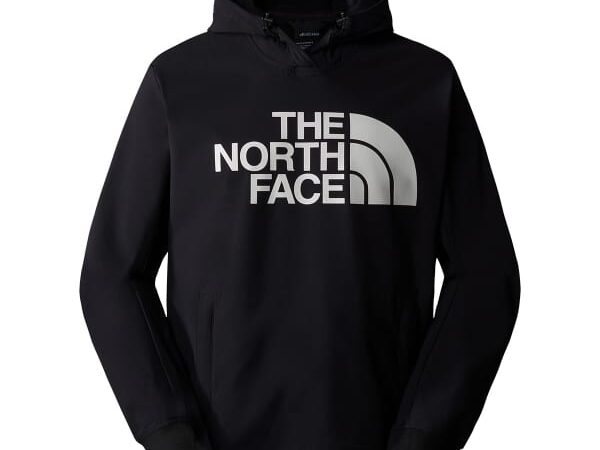 THE NORTH FACE TEKNO LOGO HOODIE