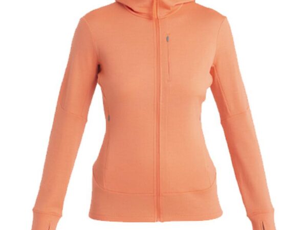 Veste Merino 260 Quantum Iv Capuche - Femme