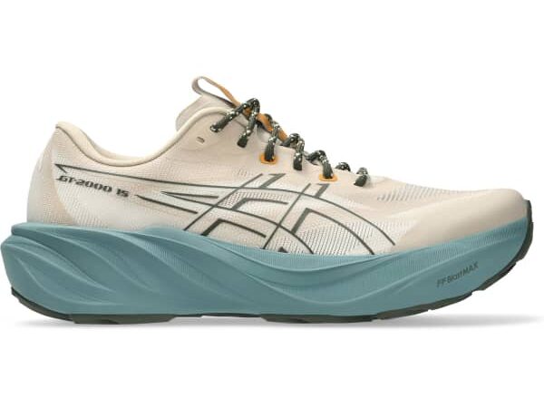ASICS GT-2000 15 TR