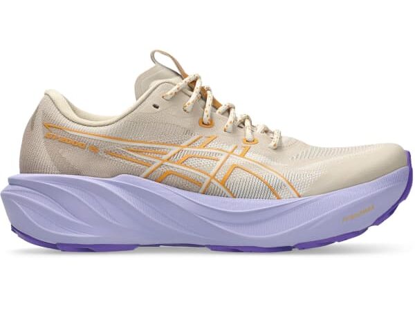 ASICS GT-2000 15 TR W