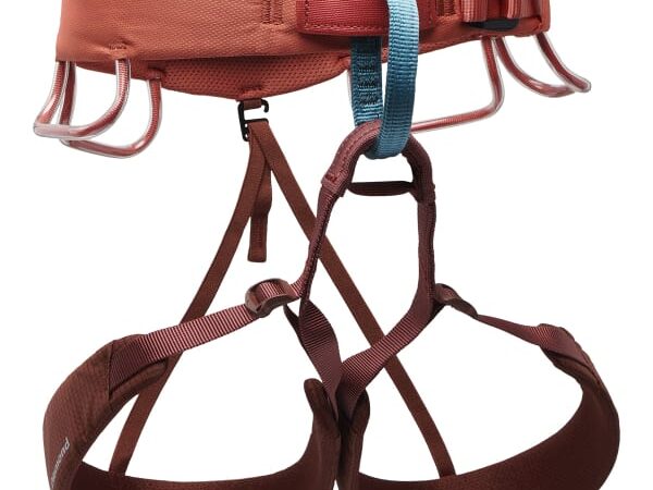BLACK DIAMOND W MOMENTUM HARNESS
