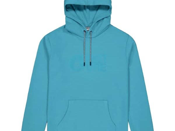 PICTURE BASEMENT FLOCK HOODIE