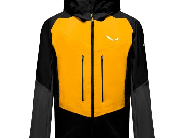 SALEWA ORTLES GTX PRO JKT