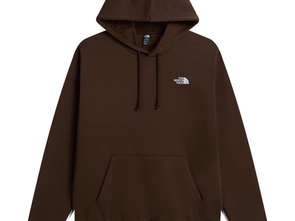 THE NORTH FACE EVOLUTION SIMPLE DOME REGULAR HOODIE