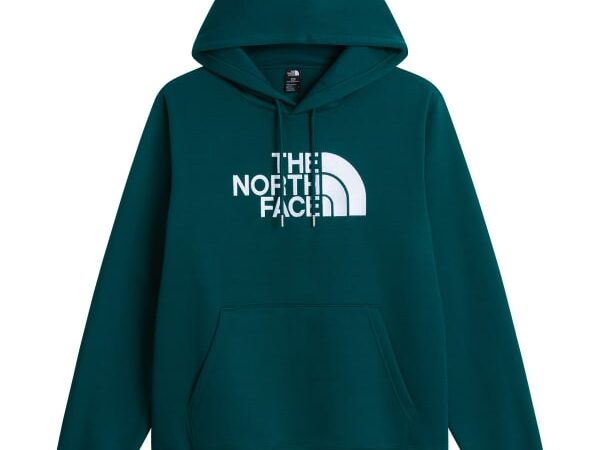 THE NORTH FACE TNF ESSENTIAL DREW PEAK REGULAR HOODIE