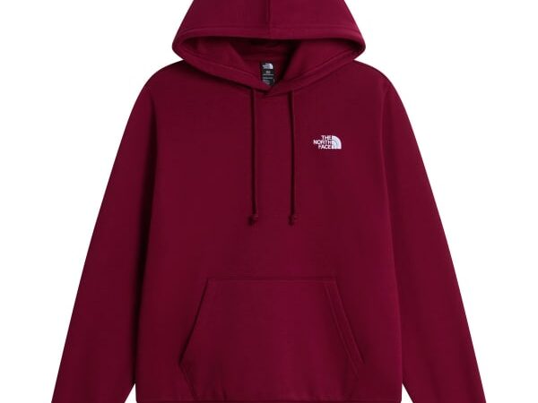 THE NORTH FACE W EVOLUTION SIMPLE DOME REGULAR HOODIE
