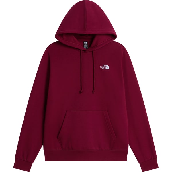 THE NORTH FACE W EVOLUTION SIMPLE DOME REGULAR HOODIE